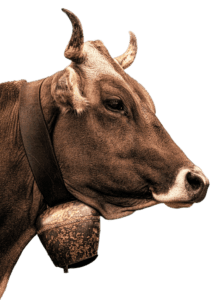 Brown Horned Cow Side Profile PNG