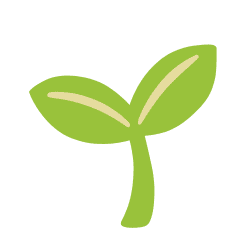 Flat green sprout vector graphic featuring a two-leaf seedling on a clean white background.