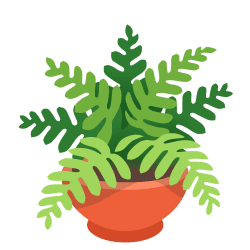 Flat green potted fern plant vector graphic with lush fronds in a terracotta pot isolated on a black background.